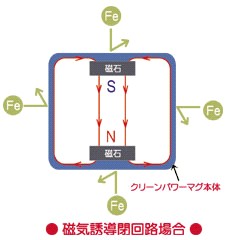 ���C�U�����ɕ�H�̏ꍇ